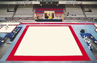 Ковёр для спортивной гимнастики (ворс, ППЭ) 30 мм