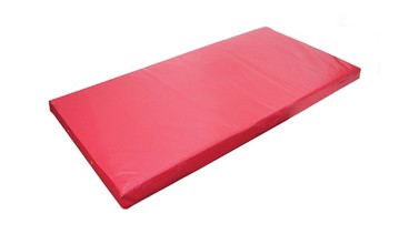 Мат гимнастический  1х2х0,1м, ППУ (ПВХ тент), 22 кг/м3